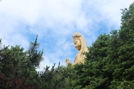 海天佛國普陀山、普濟寺、南海觀音 三天雙飛朝圣之旅PT-01