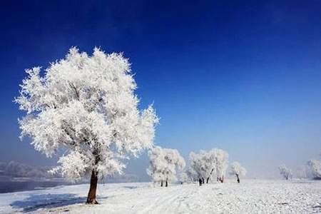 哈爾濱冰雪大世界/亞布力/圣誕別墅/雪鄉/威虎寨民俗村6日【哈雪盛宴】